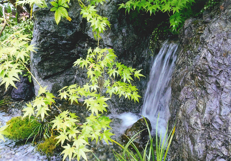溝口造園　庭・自然石・庭石・池・川・滝・癒し・植木・紅葉・日本庭園・岩・スタイリッシュ